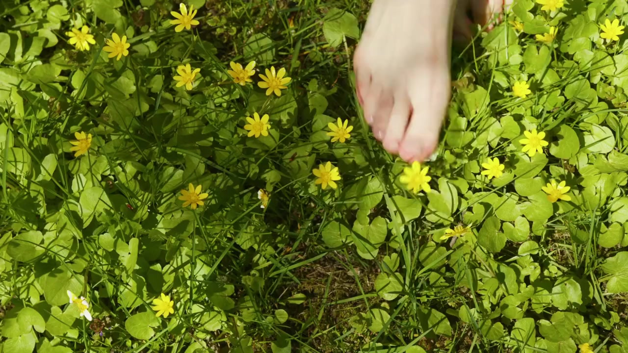 Bare feet walking through green plants and small yellow flowers