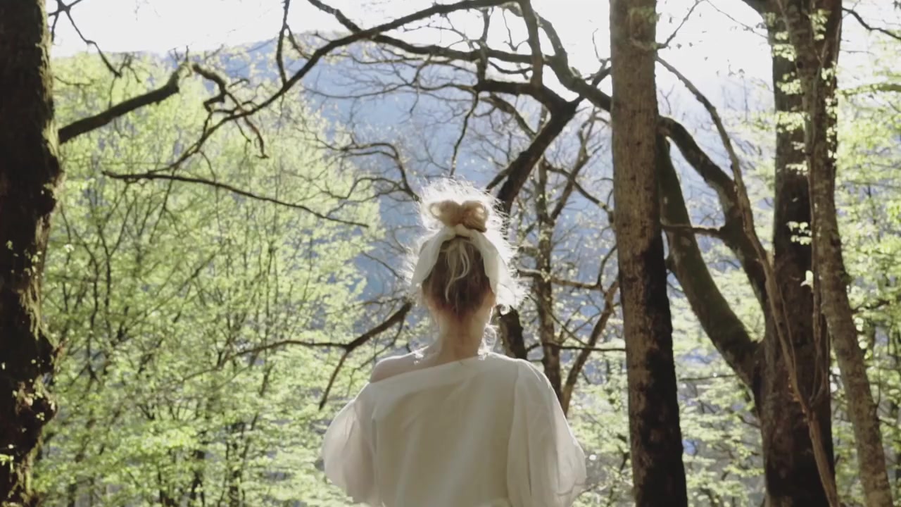 A woman stretching beneath trees in a sunlit woodland