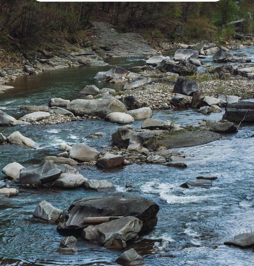 Clear water flowing around stones in a woodland river