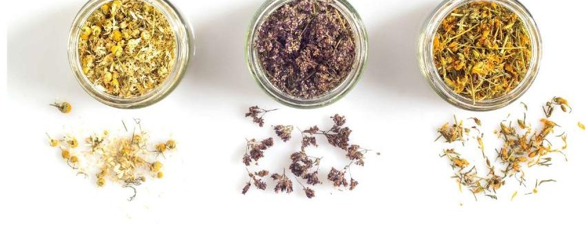 Chamomile, lavender, and calendula in glass jars