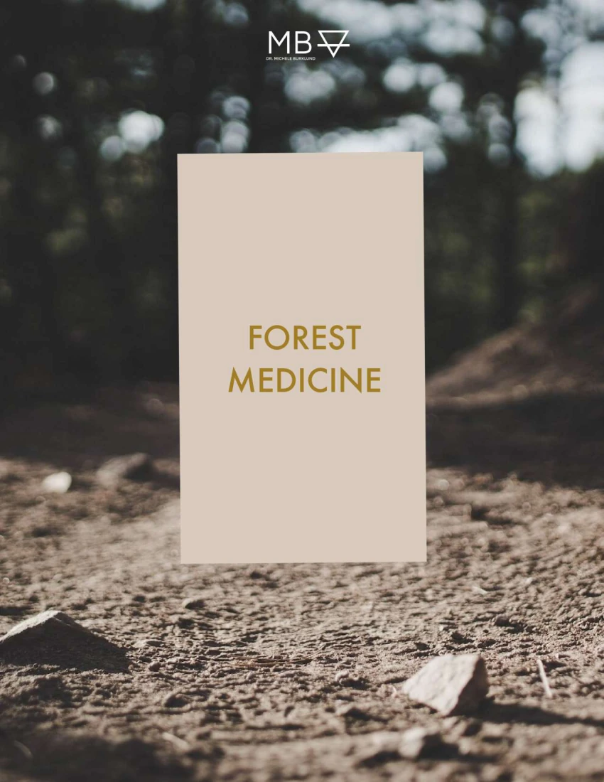 Forest Medicine — preview of the course guide