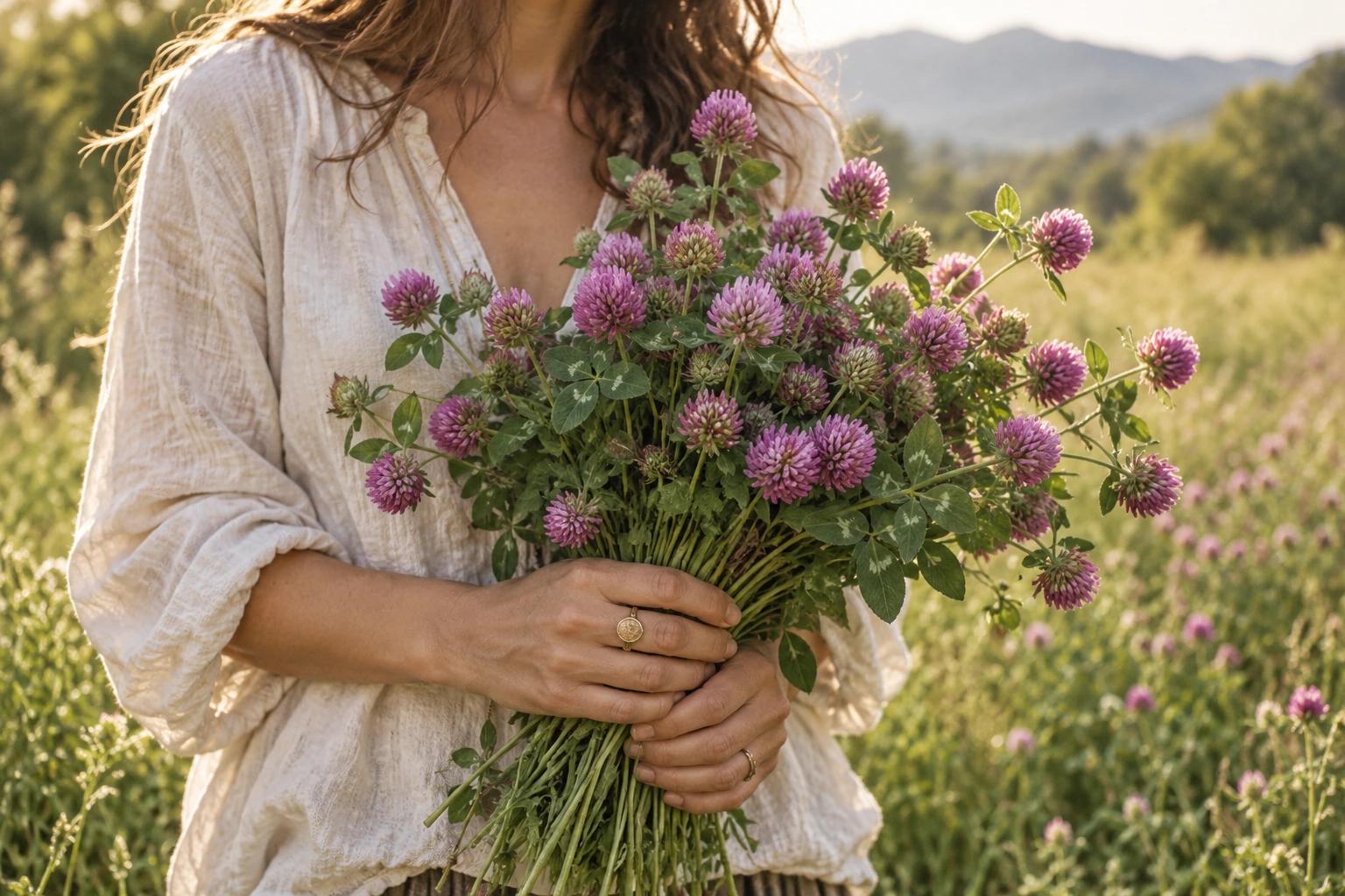 A woman holding freshly gathered red clover in a sunlit meadow