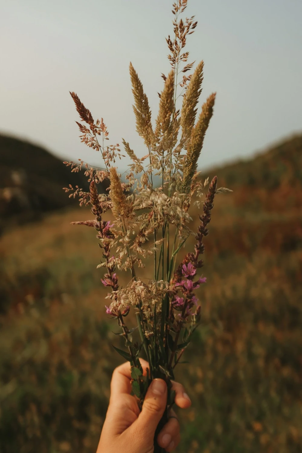 A gathered handful of wildflowers in soft afternoon light